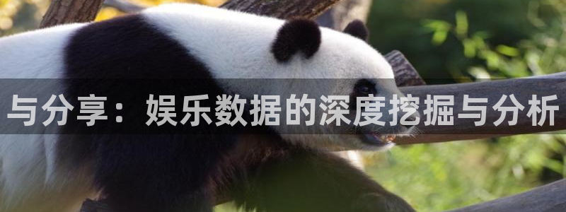 星亿娱乐登录：与分享：娱乐数据的深度挖掘与分析