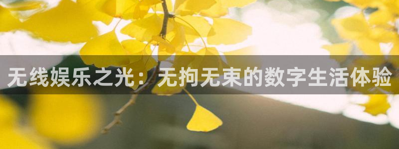 星亿娱乐登录：无线娱乐之光：无拘无束的数字生活体验