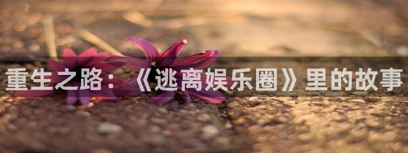 星亿娱乐：重生之路：《逃离娱乐圈》里的故事