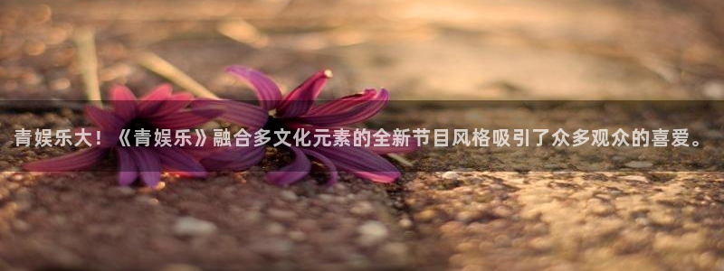 星亿娱乐登陆：青娱乐大！《青娱乐》融合多文化元素的全新节目风格吸引了众多观众的喜爱。