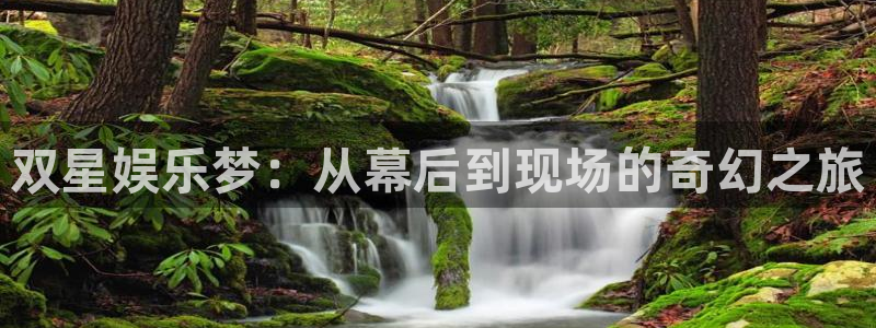 星亿娱乐主管：双星娱乐梦：从幕后到现场的奇幻之旅