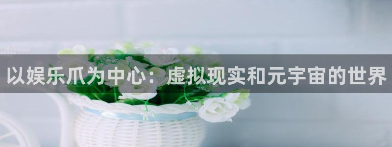 星亿娱乐官网进入：以娱乐爪为中心：虚拟现实和元宇宙的世界