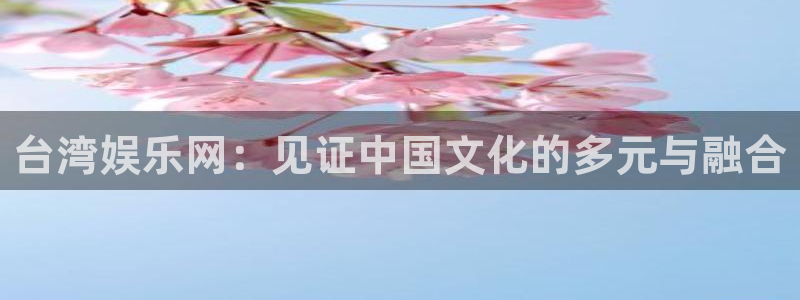 星亿娱乐：台湾娱乐网：见证中国文化的多元与融合